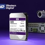 Western Digital Purple